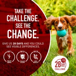 Purina ONE True Instinct Natural High Protein With Real Turkey & Venison Dry Dog Food -Pawsphoria Sales Store 126354 PT7. AC SS1800 V1674849781