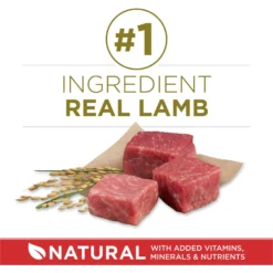 Purina ONE Natural SmartBlend Lamb & Rice Formula Dry Dog Food -Pawsphoria Sales Store 126355 PT2. AC SS1800 V1676319354