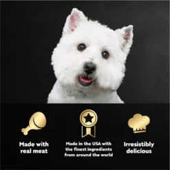 Cesar Steak Lovers Variety Pack Small Breed Adult Wet Dog Food Trays 13 Cesar Steak Lovers Variety Pack Small Breed Adult Wet Dog Food Trays -Pawsphoria Sales Store 128539 PT4. AC SS1800 V1695750250