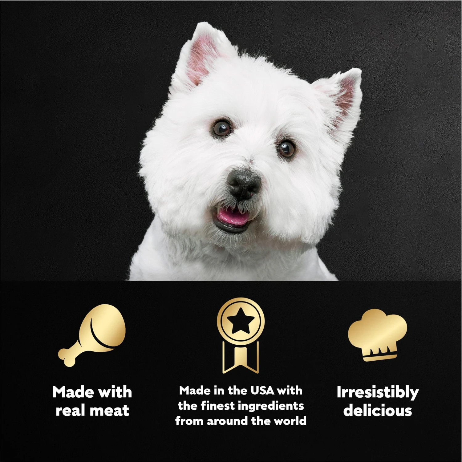 Cesar Steak Lovers Variety Pack Small Breed Adult Wet Dog Food Trays 5 Cesar Steak Lovers Variety Pack Small Breed Adult Wet Dog Food Trays - Image 5