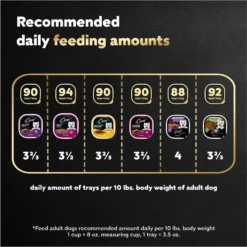 Cesar Steak Lovers Variety Pack Small Breed Adult Wet Dog Food Trays 16 Cesar Steak Lovers Variety Pack Small Breed Adult Wet Dog Food Trays -Pawsphoria Sales Store 128539 PT7. AC SS1800 V1695666297