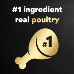 Cesar Poultry Lovers Variety Pack Small Breed Adult Wet Dog Food Trays 12 Cesar Poultry Lovers Variety Pack Small Breed Adult Wet Dog Food Trays -Pawsphoria Sales Store 128541 PT3. AC SS1800 V1695662182