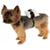 Rubie's Costume Company Ring Bearer Pillow Dog & Cat Costume