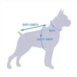 Rubie's Costume Company Ring Bearer Pillow Dog & Cat Costume -Pawsphoria Sales Store 129294 PT8. AC SS1800 V1541183107