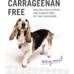 I And Love And You Beef Booyah And Lambarama Stew Grain-Free Combo Pack Canned Dog Food -Pawsphoria Sales Store 130167 PT6. AC SS1800 V1612408350