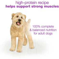 Purina Beneful Chopped Blends With Chicken, Carrots, Peas & Wild Rice Wet Dog Food -Pawsphoria Sales Store 130959 PT7. AC SS1800 V1700159717