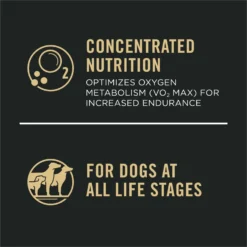 Purina Pro Plan Sport Performance All Life Stages High-Protein 30/20 Chicken & Rice Formula Dry Dog Food 13 Purina Pro Plan Sport Performance All Life Stages High-Protein 30/20 Chicken & Rice Formula Dry Dog Food -Pawsphoria Sales Store 131886 PT4. AC SS1800 V1657912201