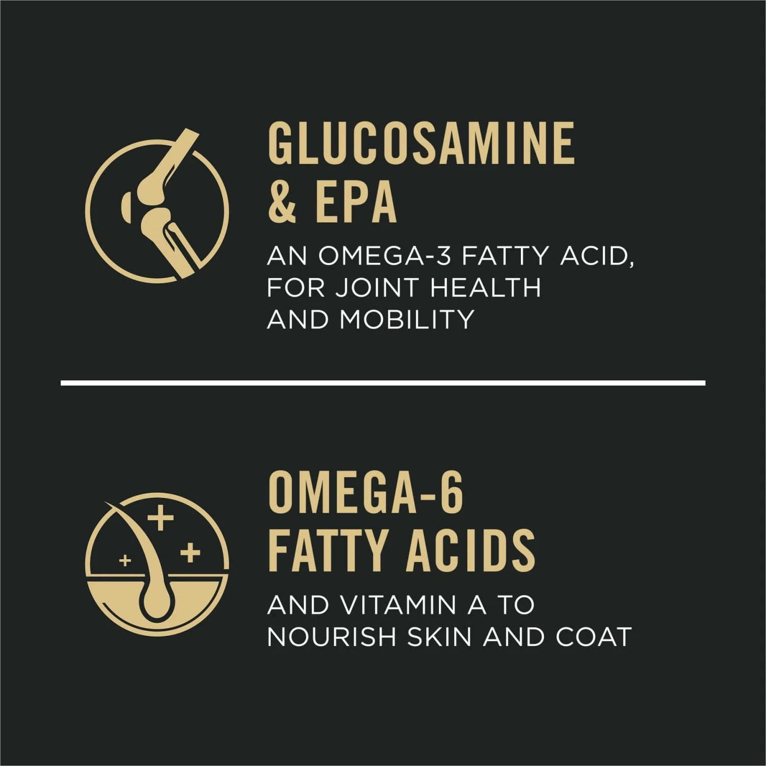 Purina Pro Plan Sport Performance All Life Stages High-Protein 30/20 Chicken & Rice Formula Dry Dog Food 7 Purina Pro Plan Sport Performance All Life Stages High-Protein 30/20 Chicken & Rice Formula Dry Dog Food - Image 7