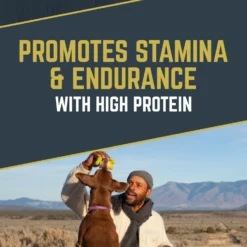 Black Gold Explorer Chicken Meal & Brown Rice Formula Dry Dog Food, 40-lb Bag -Pawsphoria Sales Store 133048 PT3. AC SS1800 V1652774211