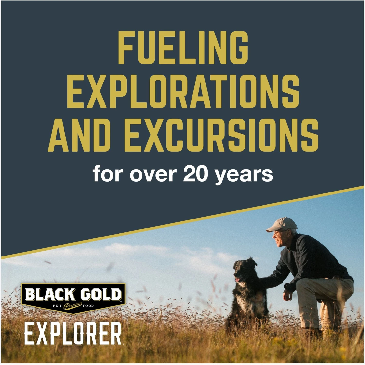 Black Gold Explorer Sensitive Skin & Coat Ocean Fish Meal & Oat Recipe Dry Dog Food, 40-lb Bag 6 Black Gold Explorer Sensitive Skin & Coat Ocean Fish Meal & Oat Recipe Dry Dog Food, 40-lb Bag - Image 6