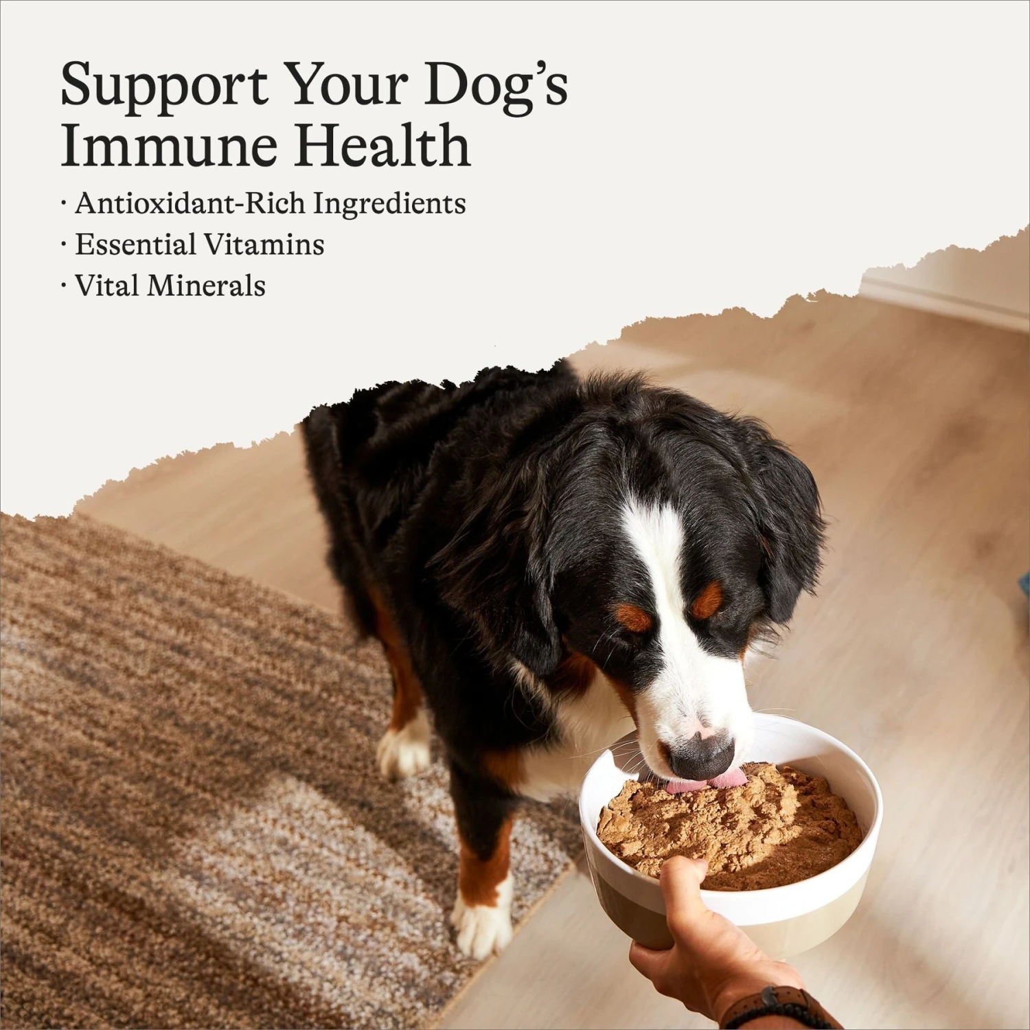 American Journey Limited Ingredient Diet Duck & Sweet Potato Recipe Grain-Free Canned Dog Food 2 American Journey Limited Ingredient Diet Duck & Sweet Potato Recipe Grain-Free Canned Dog Food - Image 2