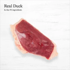 American Journey Limited Ingredient Diet Duck & Sweet Potato Recipe Grain-Free Canned Dog Food 13 American Journey Limited Ingredient Diet Duck & Sweet Potato Recipe Grain-Free Canned Dog Food -Pawsphoria Sales Store 133877 PT4. AC SS1800 V1696622786