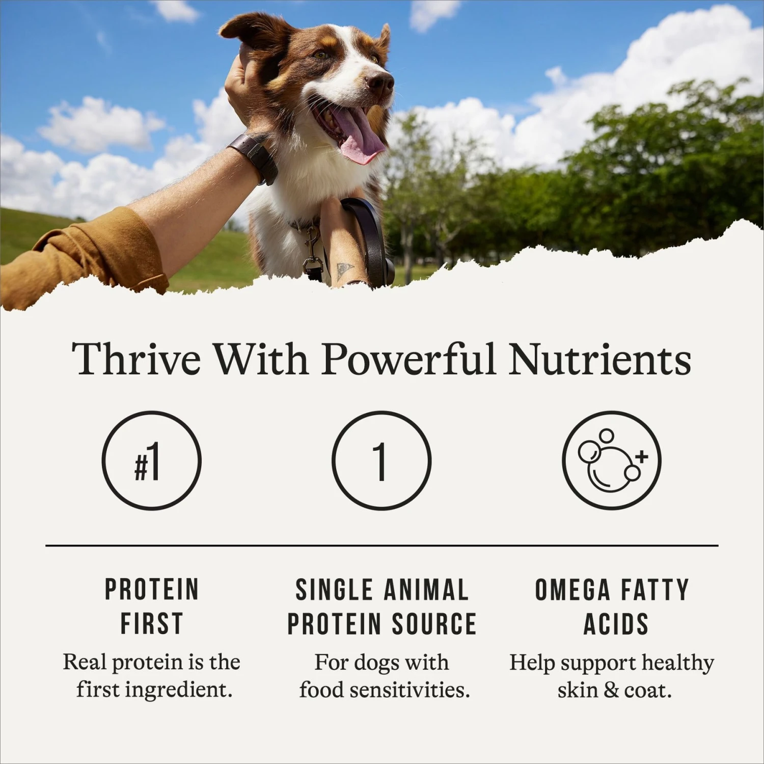 American Journey Limited Ingredient Diet Duck & Sweet Potato Recipe Grain-Free Canned Dog Food 6 American Journey Limited Ingredient Diet Duck & Sweet Potato Recipe Grain-Free Canned Dog Food - Image 6