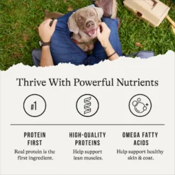 American Journey Stews Poultry & Beef Variety Pack Grain-Free Canned Dog Food, 12.5-oz Can -Pawsphoria Sales Store 133888 PT4. AC SS1800 V1696880191