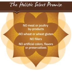 Holistic Select Adult Health Duck Meal Recipe Grain-Free Dry Dog Food -Pawsphoria Sales Store 134358 PT6. AC SS1800 V1660706870