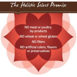 Holistic Select Senior Health Chicken Meal & Lentils Recipe Dry Dog Food -Pawsphoria Sales Store 134446 PT6. AC SS1800 V1510777683