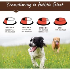 Holistic Select Senior Health Chicken Meal & Lentils Recipe Dry Dog Food -Pawsphoria Sales Store 134446 PT8. AC SS1800 V1510777688