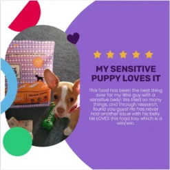 I And Love And You Naked Essentials Puppy Recipe Grain-Free Dry Puppy Food 12 I And Love And You Naked Essentials Puppy Recipe Grain-Free Dry Puppy Food -Pawsphoria Sales Store 134894 PT3. AC SS1800 V1692293385