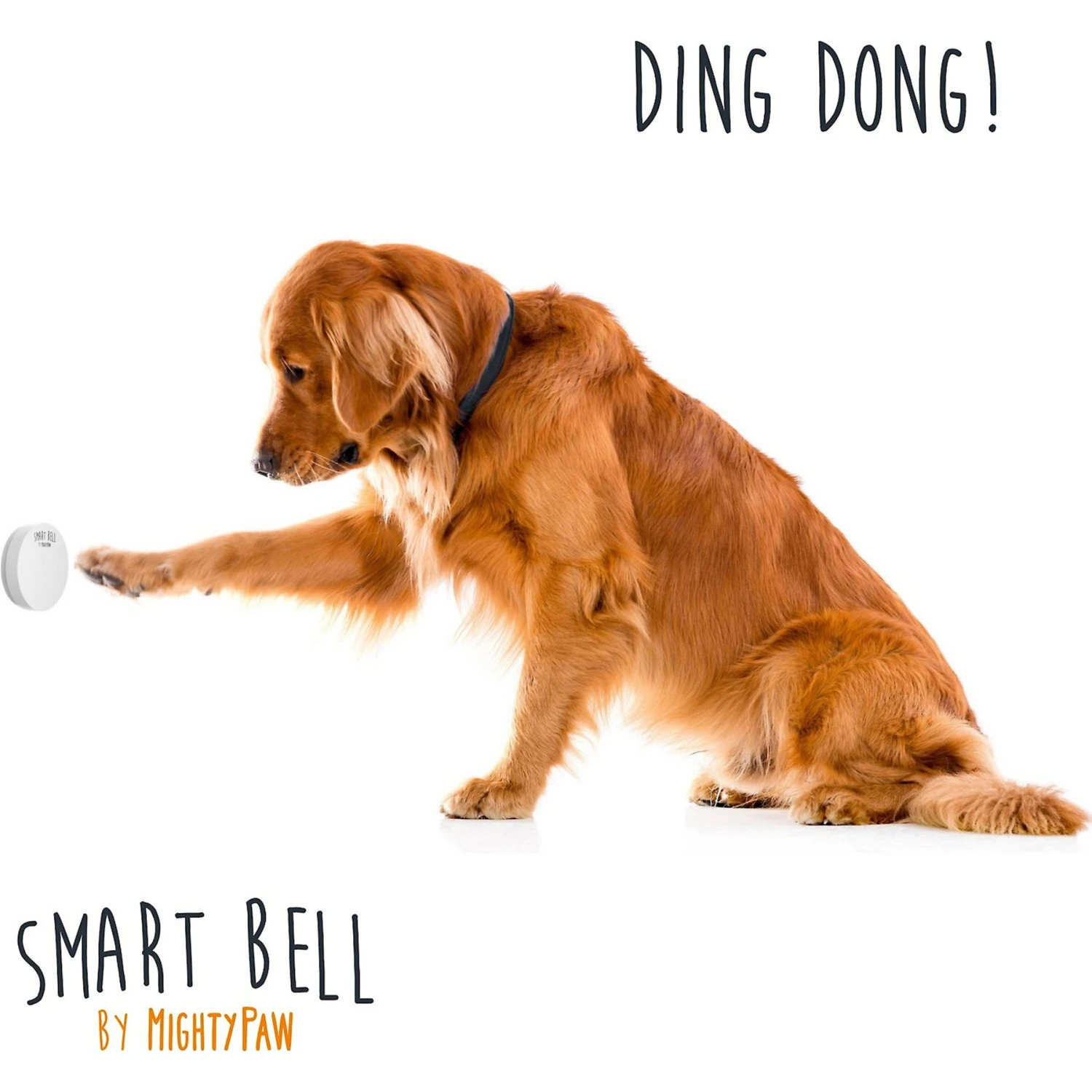 Mighty Paw Smart Bell 2.0 Potty Training Dog Doorbell, White 2 Mighty Paw Smart Bell 2.0 Potty Training Dog Doorbell, White - Image 2