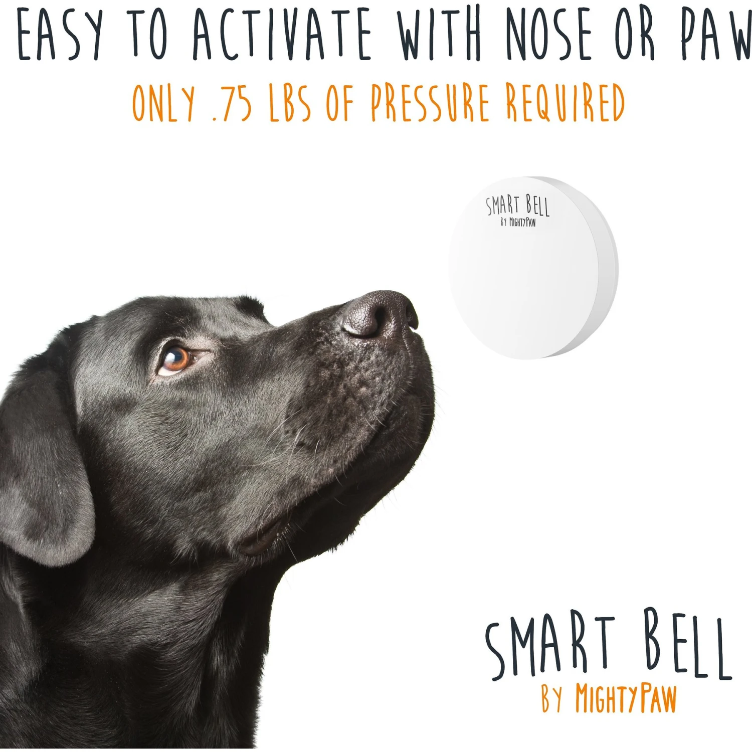 Mighty Paw Smart Bell 2.0 Potty Training Dog Doorbell, White 3 Mighty Paw Smart Bell 2.0 Potty Training Dog Doorbell, White - Image 3