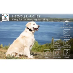 PetSpy P620 Waterproof Remote Dog Training Collar -Pawsphoria Sales Store 137898 PT5. AC SS1800 V1511815374