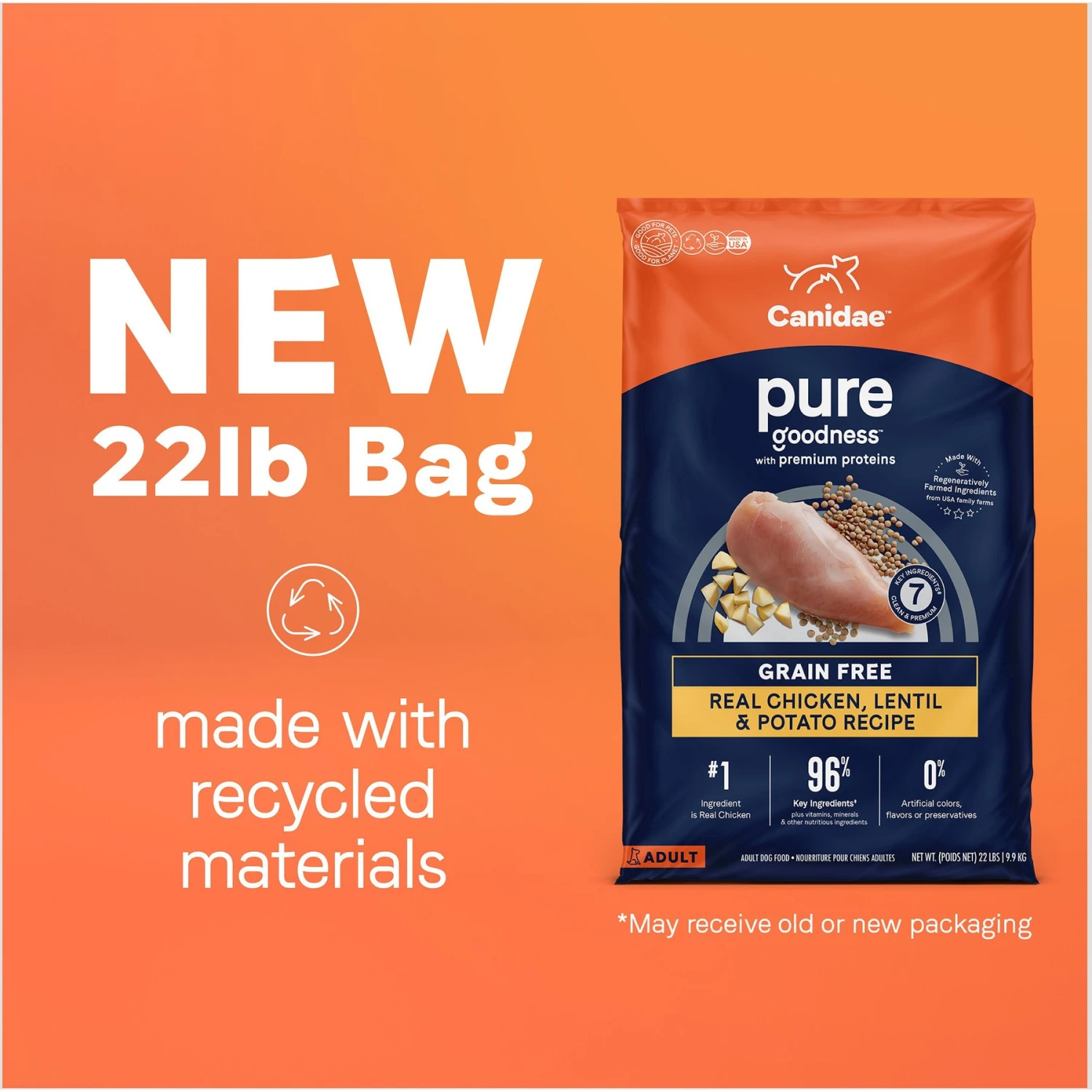 CANIDAE Grain-Free PURE Limited Ingredient Chicken, Lentil & Potato Recipe Dry Dog Food 3 CANIDAE Grain-Free PURE Limited Ingredient Chicken, Lentil & Potato Recipe Dry Dog Food - Image 3