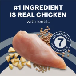 CANIDAE Grain-Free PURE Limited Ingredient Chicken, Lentil & Potato Recipe Dry Dog Food 13 CANIDAE Grain-Free PURE Limited Ingredient Chicken, Lentil & Potato Recipe Dry Dog Food -Pawsphoria Sales Store 138969 PT4. AC SS1800 V1683040422