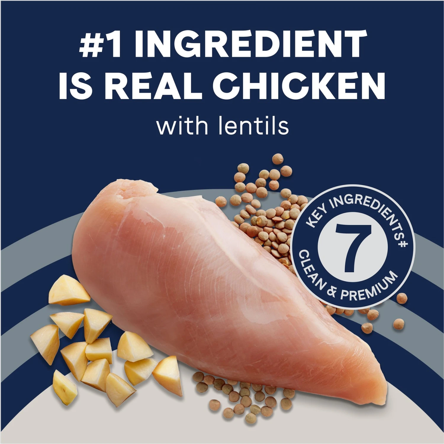 CANIDAE Grain-Free PURE Limited Ingredient Chicken, Lentil & Potato Recipe Dry Dog Food 5 CANIDAE Grain-Free PURE Limited Ingredient Chicken, Lentil & Potato Recipe Dry Dog Food - Image 5