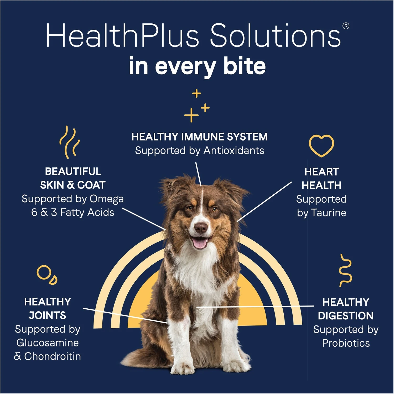 CANIDAE Grain-Free PURE Limited Ingredient Chicken, Lentil & Potato Recipe Dry Dog Food 6 CANIDAE Grain-Free PURE Limited Ingredient Chicken, Lentil & Potato Recipe Dry Dog Food - Image 6