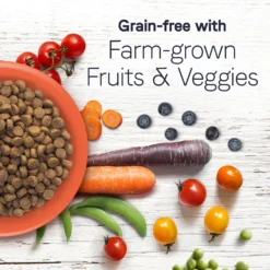 CANIDAE Under The Sun Grain-Free Chicken Recipe Adult Dry Dog Food 11 CANIDAE Under The Sun Grain-Free Chicken Recipe Adult Dry Dog Food -Pawsphoria Sales Store 138975 PT3. AC SS1800 V1661192778