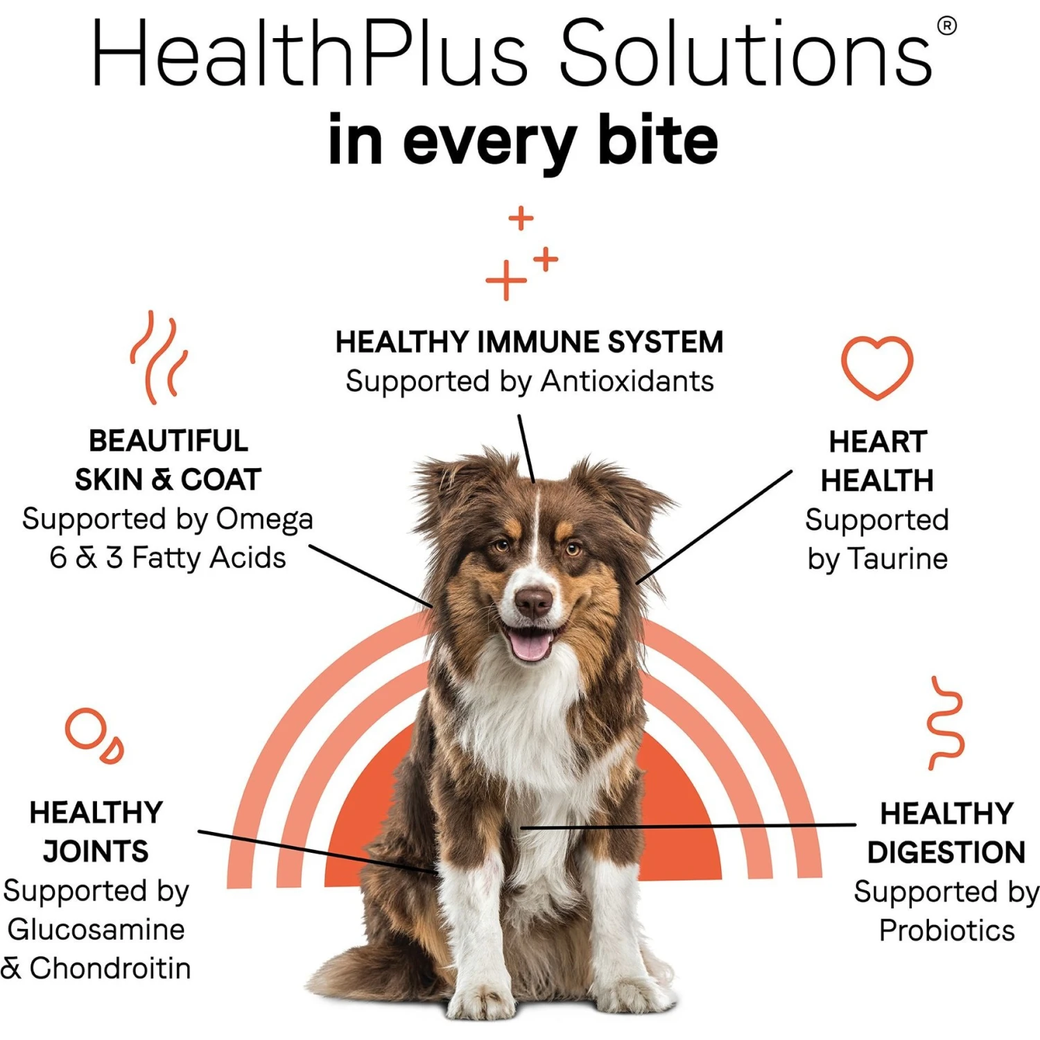 CANIDAE Under The Sun Grain-Free Chicken Recipe Adult Dry Dog Food 6 CANIDAE Under The Sun Grain-Free Chicken Recipe Adult Dry Dog Food - Image 6