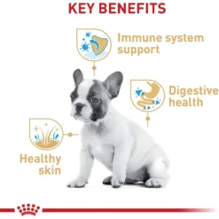 Royal Canin Breed Health Nutrition French Bulldog Puppy Dry Dog Food 13 Royal Canin Breed Health Nutrition French Bulldog Puppy Dry Dog Food -Pawsphoria Sales Store 138982 PT4. AC SS1800 V1697212854