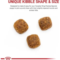 Royal Canin Breed Health Nutrition Cavalier King Charles Puppy Dry Dog Food -Pawsphoria Sales Store 138986 PT3. AC SS1800 V1700161978
