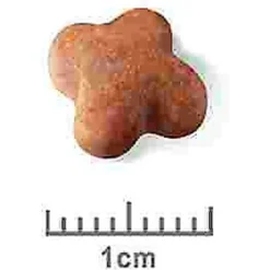 Royal Canin Breed Health Nutrition Jack Russell Terrier Puppy Dry Dog Food -Pawsphoria Sales Store 138997 PT7. AC SS1800 V1550513918