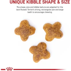 Royal Canin Breed Health Nutrition Jack Russell Terrier Adult Dry Dog Food -Pawsphoria Sales Store 139000 PT3. AC SS1800 V1695219983