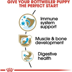 Royal Canin Breed Health Nutrition Rottweiler Puppy Dry Dog Food -Pawsphoria Sales Store 139004 PT4. AC SS1800 V1697213181