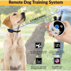 Educator By E-Collar Technologies Zen 1/2 Mile Range Remote Dog Training Collar -Pawsphoria Sales Store 139855 PT2. AC SS1800 V1595882153