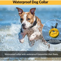 Educator By E-Collar Technologies 3/4 Mile Range Waterproof Dog Training Collar -Pawsphoria Sales Store 139858 PT5. AC SS1800 V1595879757