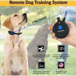 Educator By E-Collar Technologies The Boss 1 Mile Range Waterproof Dog Training Collar -Pawsphoria Sales Store 139861 PT2. AC SS1800 V1627312011