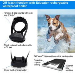 Educator By E-Collar Technologies Easy Educator 1/2 Mile Range Waterproof Dog Training Collar -Pawsphoria Sales Store 139864 PT6. AC SS1800 V1627313173