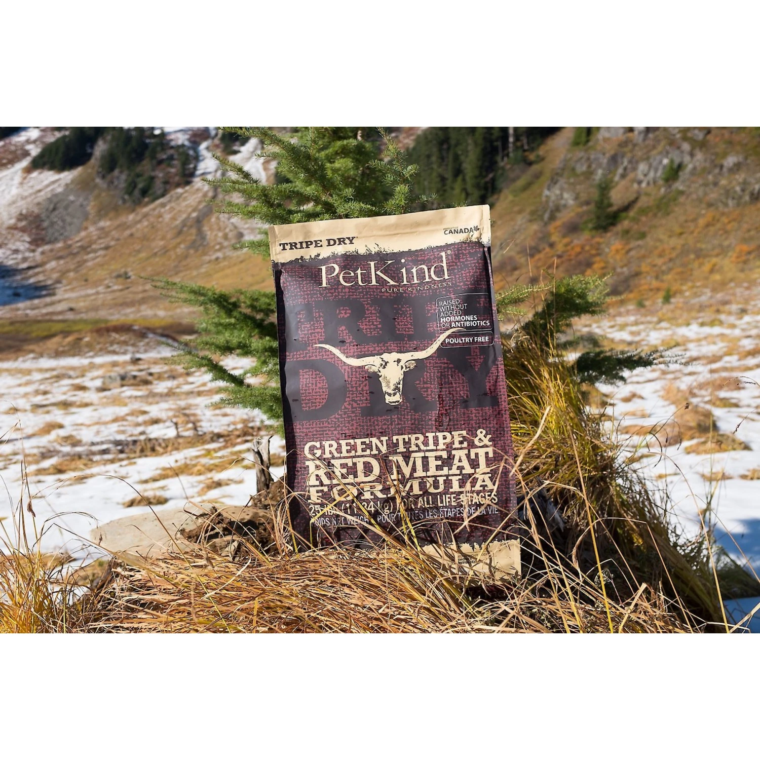 PetKind Tripe Dry Grain-Free Red Meat & Green Tripe Formula Dry Dog Food 7 PetKind Tripe Dry Grain-Free Red Meat & Green Tripe Formula Dry Dog Food - Image 7