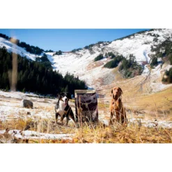 PetKind Tripe Dry Grain-Free Red Meat & Green Tripe Formula Dry Dog Food 15 PetKind Tripe Dry Grain-Free Red Meat & Green Tripe Formula Dry Dog Food -Pawsphoria Sales Store 140116 PT7. AC SS1800 V1532987519