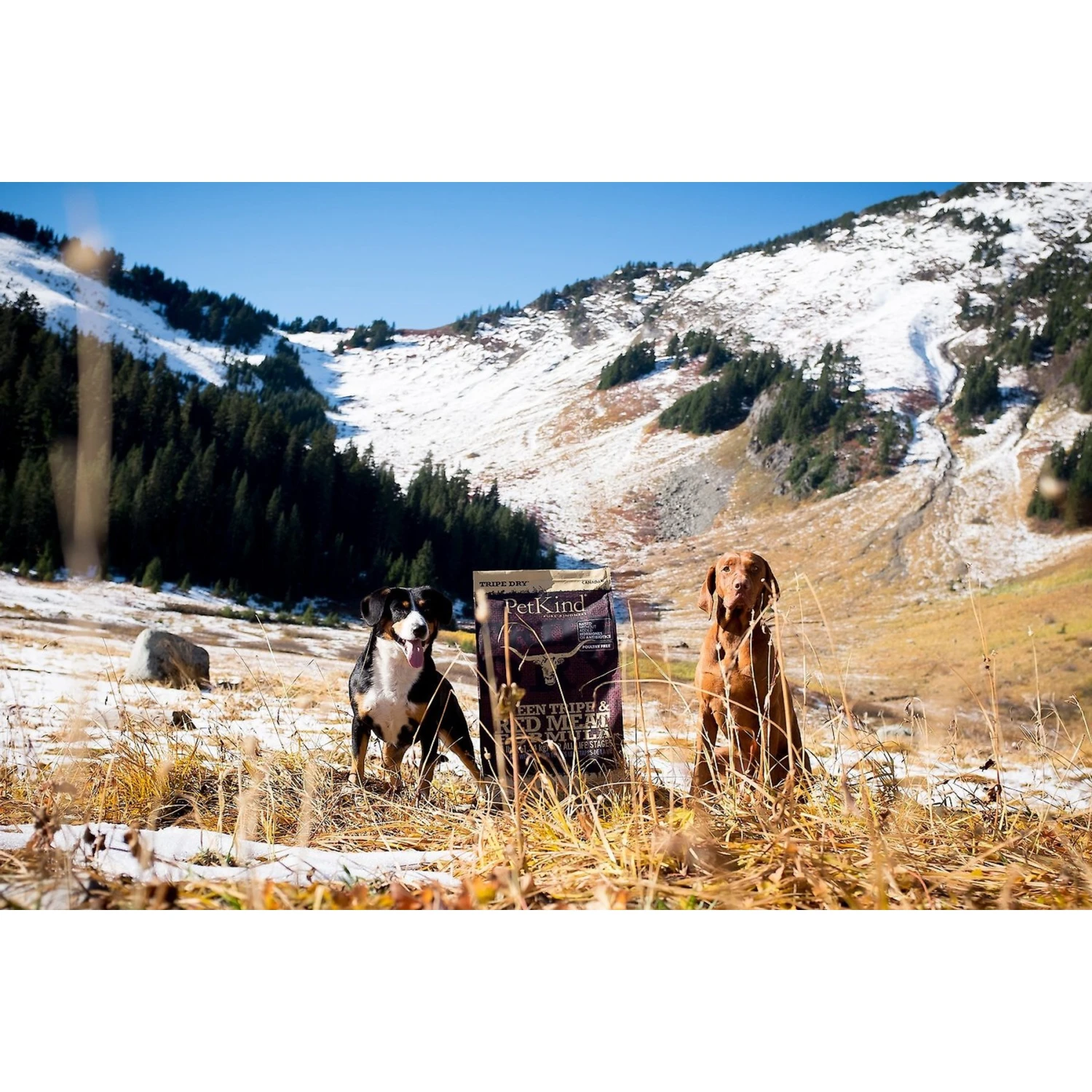 PetKind Tripe Dry Grain-Free Red Meat & Green Tripe Formula Dry Dog Food 8 PetKind Tripe Dry Grain-Free Red Meat & Green Tripe Formula Dry Dog Food - Image 8