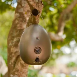 Sunbeam Sonic Egg Ultrasonic Bark Control Device -Pawsphoria Sales Store 140471 PT7. AC SS1800 V1509571631