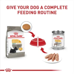 Royal Canin Canine Care Nutrition Small Sensitive Skin Care Dry Dog Food, 3-lb Bag -Pawsphoria Sales Store 140500 PT5. AC SS1800 V1697213802