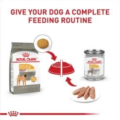 Royal Canin Canine Care Nutrition Medium Sensitive Skin Care Dry Dog Food 14 Royal Canin Canine Care Nutrition Medium Sensitive Skin Care Dry Dog Food -Pawsphoria Sales Store 140503 PT5. AC SS1800 V1697212765