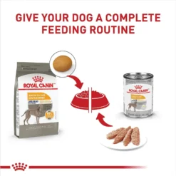 Royal Canin Canine Care Nutrition Large Sensitive Skin Care Dry Dog Food, 30-lb Bag 14 Royal Canin Canine Care Nutrition Large Sensitive Skin Care Dry Dog Food, 30-lb Bag -Pawsphoria Sales Store 140505 PT5. AC SS1800 V1697213803