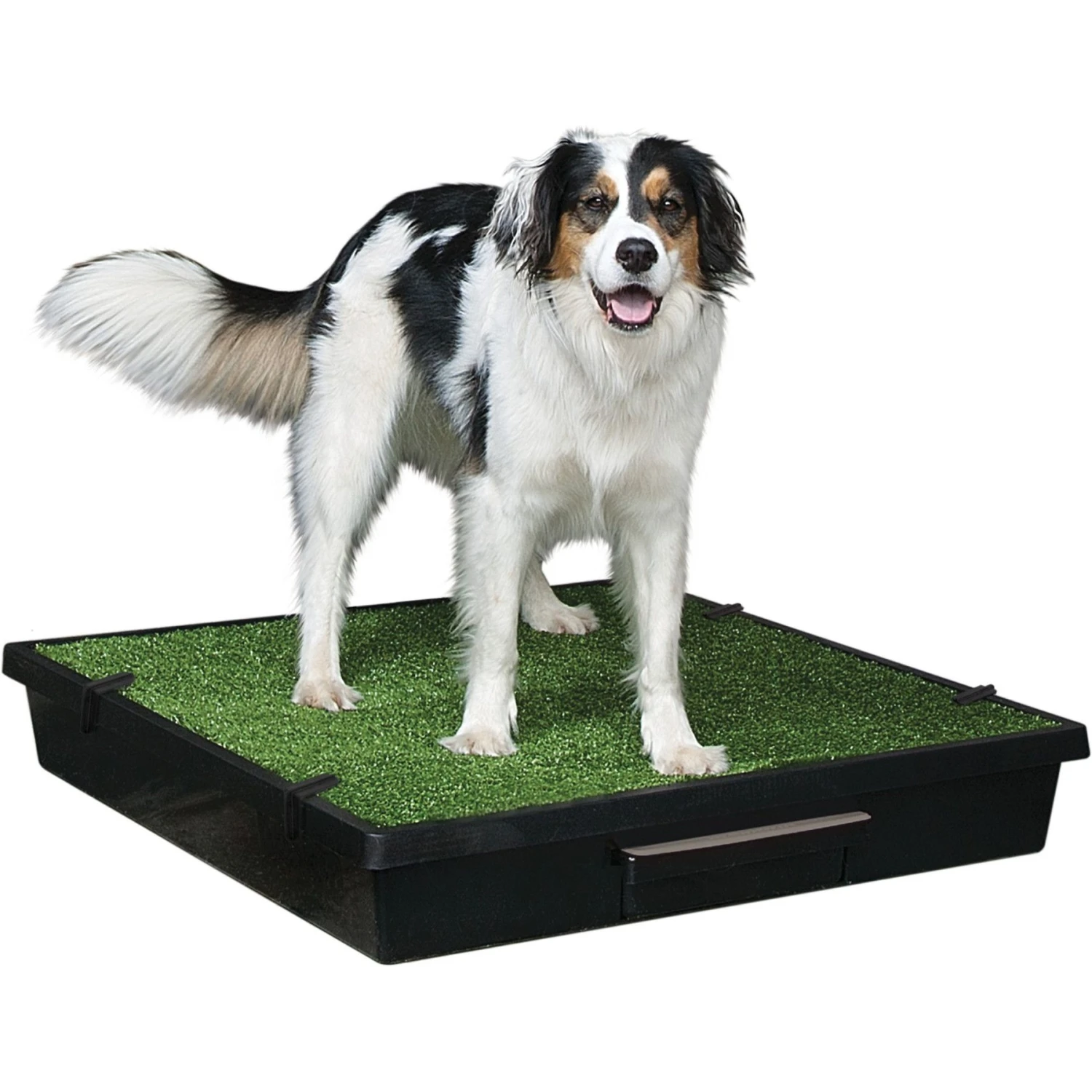 PetSafe Pet Loo Portable Indoor & Outdoor Dog Potty 1 PetSafe Pet Loo Portable Indoor & Outdoor Dog Potty