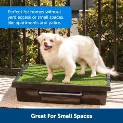 PetSafe Pet Loo Portable Indoor & Outdoor Dog Potty 12 PetSafe Pet Loo Portable Indoor & Outdoor Dog Potty -Pawsphoria Sales Store 140649 PT3. AC SS1800 V1660771974