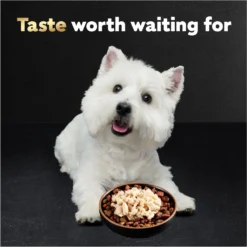 Cesar Simply Crafted Chicken Limited-Ingredient Wet Dog Food Topper -Pawsphoria Sales Store 141019 PT3. AC SS1800 V1695666299